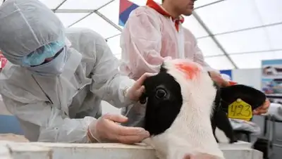 Zakon.kz, фото - Новости Zakon.kz от 03.08.2016 17:26