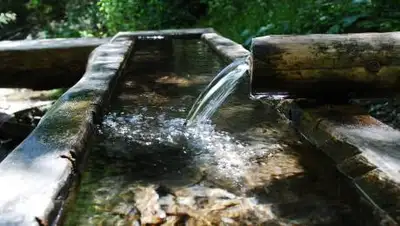 pixabay, фото - Новости Zakon.kz от 02.11.2021 11:34