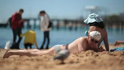 Zakon.kz, фото - Новости Zakon.kz от 18.05.2017 21:24