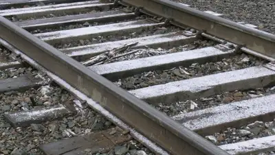 Zakon.kz, фото - Новости Zakon.kz от 21.08.2015 04:31