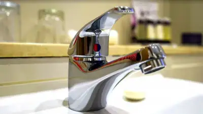 pxhere.com, фото - Новости Zakon.kz от 01.11.2019 15:42