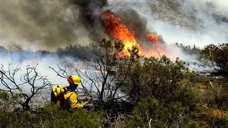 В калифорнийском округе Сан-Диего пожар охватил 4 тысячи гектаров территории