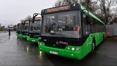 365info.kz, фото - Новости Zakon.kz от 09.12.2017 00:34