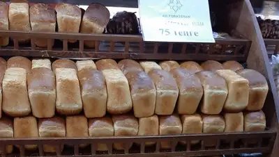 Региональная служба коммуникаций Туркестанской области, фото - Новости Zakon.kz от 01.11.2019 10:22