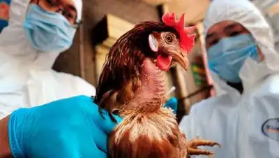 inbusiness.kz, фото - Новости Zakon.kz от 27.11.2020 15:01