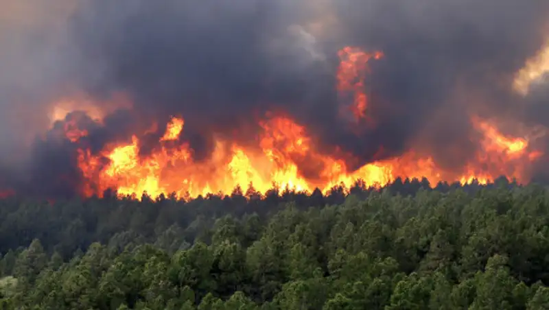 Леонардо Ди Каприо встал на защиту горящей Сибири