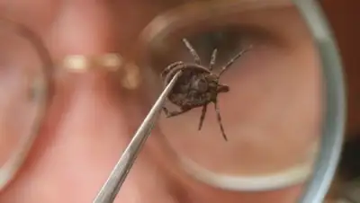 Zakon.kz, фото - Новости Zakon.kz от 16.06.2015 23:52