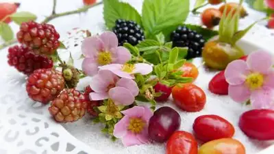 pixabay.com, фото - Новости Zakon.kz от 01.09.2021 10:10