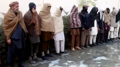 Zakon.kz, фото - Новости Zakon.kz от 12.08.2015 12:50