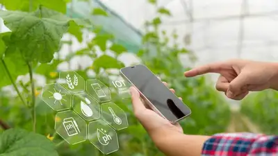 Шестиклассник из Туркестанской области изобрел "умную" ферму, фото - Новости Zakon.kz от 23.03.2023 17:36