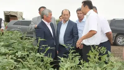 Zakon.kz, фото - Новости Zakon.kz от 21.08.2014 02:08