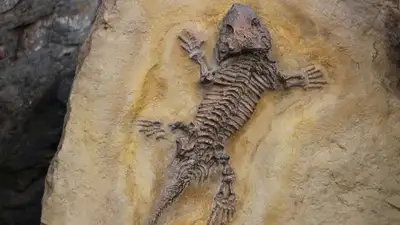 раскопки, фото - Новости Zakon.kz от 04.12.2022 22:44