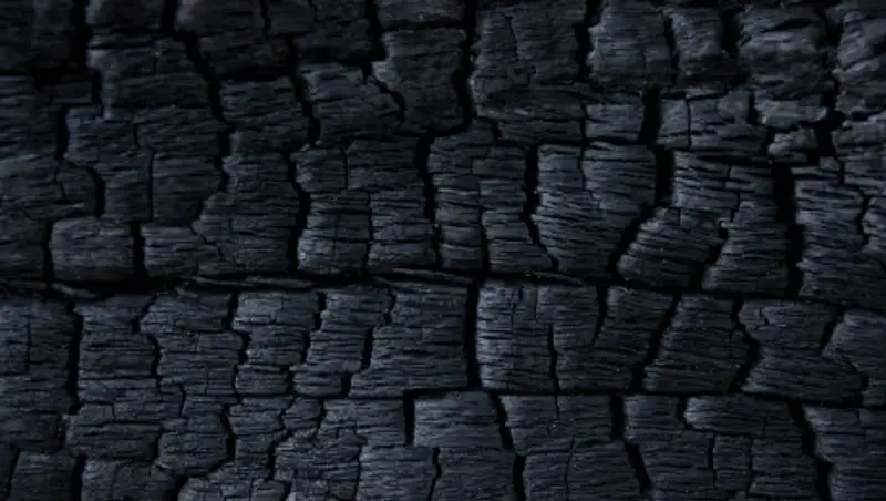 Перекупщики перекрыли доступ к углю в ВКО