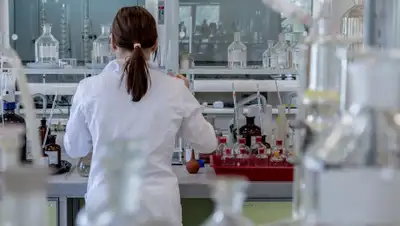 Pixabay, фото - Новости Zakon.kz от 22.05.2020 02:47