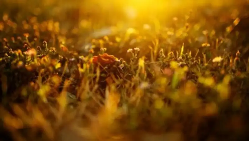 Погода без осадков ожидается в пятницу по Казахстану