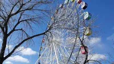 24.kz, фото - Новости Zakon.kz от 13.01.2020 15:45