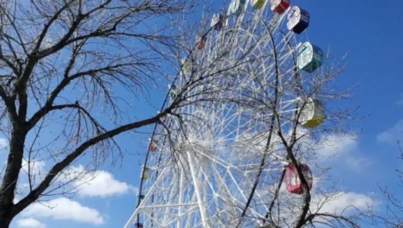 В Рудном демонтируют колесо обозрения