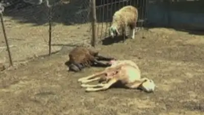 Zakon.kz, фото - Новости Zakon.kz от 25.07.2014 16:19