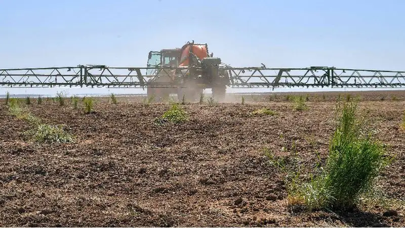 Неиспользуемые сельхозземли продолжают возвращать государству