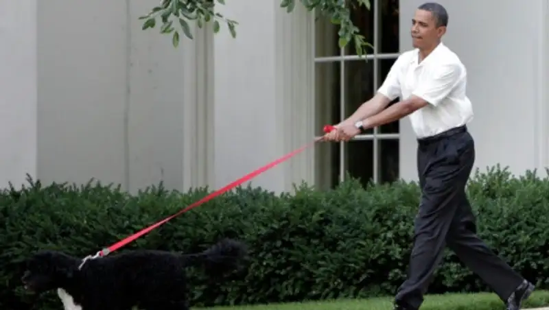 Американец запасся оружием и планировал похитить собаку президента