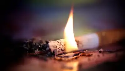 Ugra-news, фото - Новости Zakon.kz от 25.01.2019 10:00