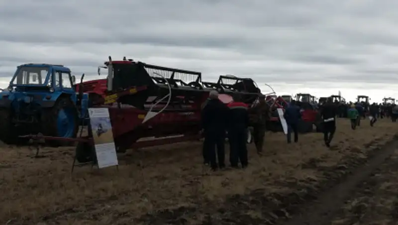 В Костанайской области в следующем году заработает программа "Северная соя"