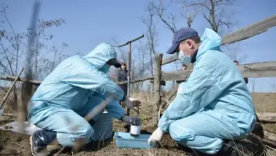 Zakon.kz, фото - Новости Zakon.kz от 22.06.2016 22:06