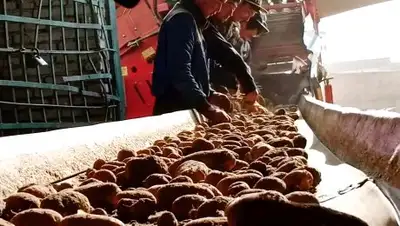 пресс-служба акима Алматинской области, фото - Новости Zakon.kz от 12.10.2018 09:47