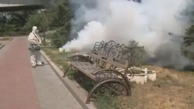 Zakon.kz, фото - Новости Zakon.kz от 13.06.2017 17:10