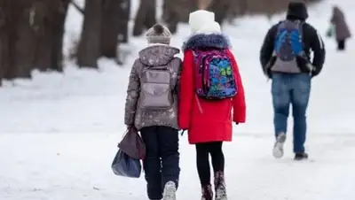 info-vsem.ru, фото - Новости Zakon.kz от 05.02.2019 18:47