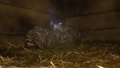 Zakon.kz, фото - Новости Zakon.kz от 18.02.2015 20:36