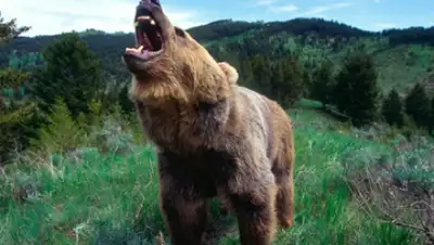 Zakon.kz, фото - Новости Zakon.kz от 10.07.2015 07:31