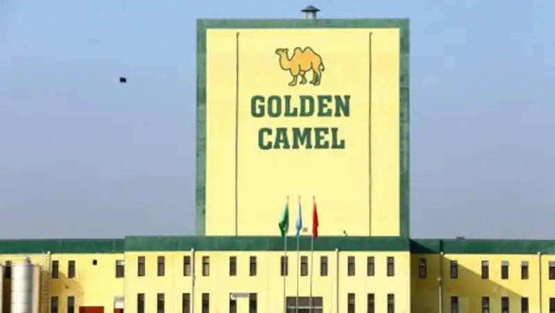 Объем валового регионального продукта Туркестанской области составил более одного трлн тенге