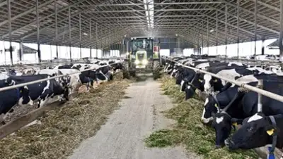 Zakon.kz, фото - Новости Zakon.kz от 08.10.2015 18:38