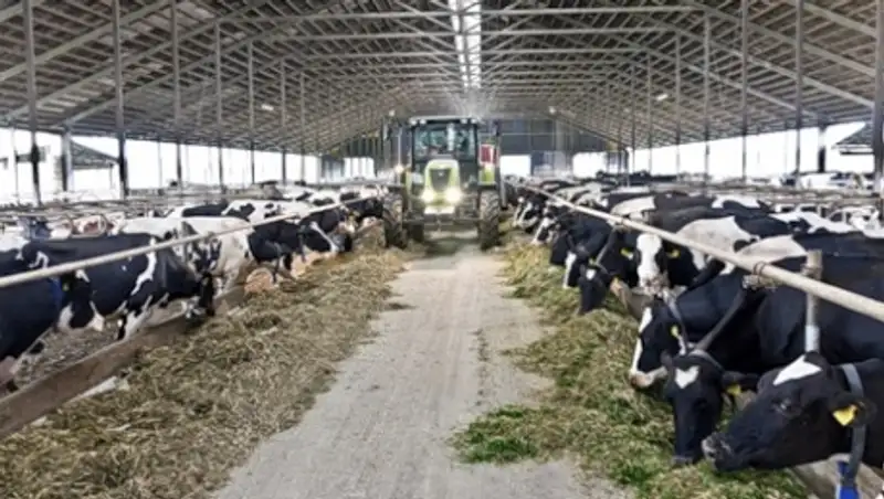 Парламент Казахстана принял закон «О сельскохозяйственной кооперации»