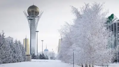 Zakon.kz, фото - Новости Zakon.kz от 12.12.2016 12:00