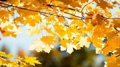 Zakon.kz, фото - Новости Zakon.kz от 25.09.2016 12:01