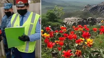 polisia.kz, фото - Новости Zakon.kz от 19.04.2020 22:35