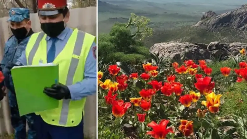 В полиции объяснили, почему задержали женщину с тюльпанами