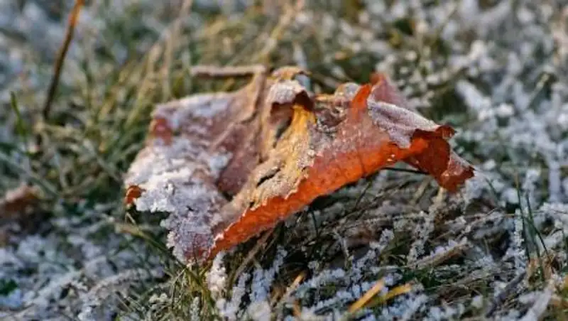 Холодный антициклон надвигается на Казахстан