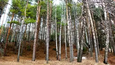 zakon.kz, фото - Новости Zakon.kz от 21.10.2021 14:34