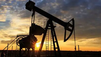 Zakon.kz, фото - Новости Zakon.kz от 16.06.2016 06:58