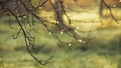 pixabay.com, фото - Новости Zakon.kz от 18.10.2021 19:33