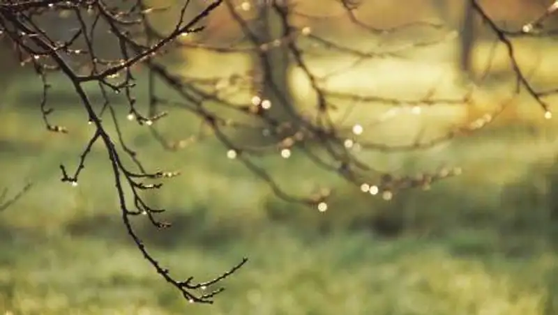 Штормовое предупреждение объявлено в трех регионах Казахстана