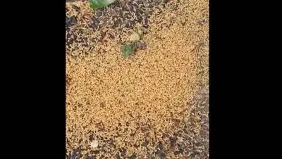 instagram, фото - Новости Zakon.kz от 07.05.2021 11:37