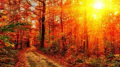 Zakon.kz, фото - Новости Zakon.kz от 13.11.2017 05:55