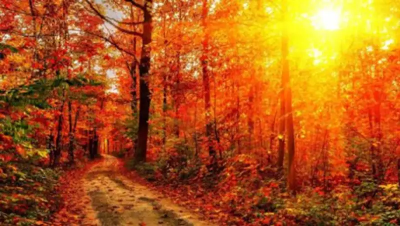 Казахстанские синоптики обещают 13 ноября погоду без осадков