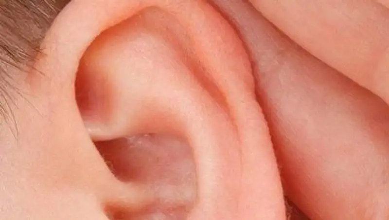 Как субтитры облегают доступ к информации