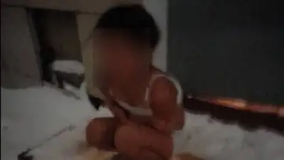 Telegram, фото - Новости Zakon.kz от 24.12.2020 16:38