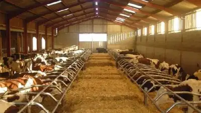 Самат Мырзалиев, фото - Новости Zakon.kz от 23.01.2019 13:44